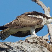 V3D6730 : Florida 2012
